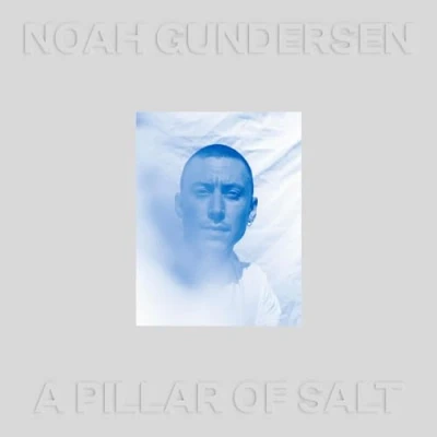 Afbeelding van Noah Gundersen A Pillar of Salt (LP)