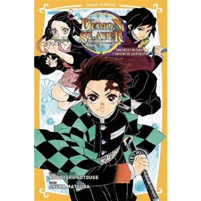 Image de Demon Slayer Roman jeunesse T01 : Tanjiro &amp; Nezuko l&#039;origine de leur destin