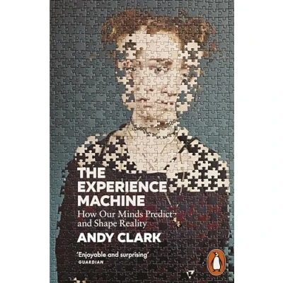 Image de The Experience Machine