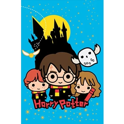 Afbeelding van Harry Potter Fleece Deken, Zweinstein 100 x 150 cm Polyester