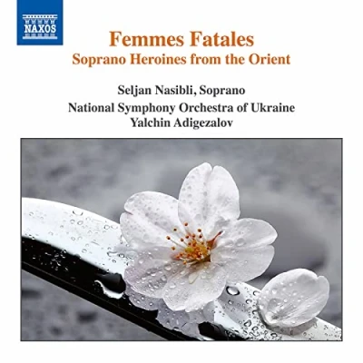 Afbeelding van National Symphony Orchestra Of Ukraine Femmes Fatales (CD)