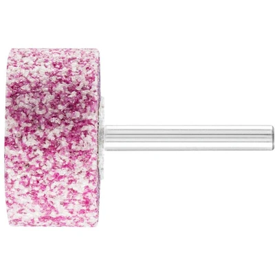 Afbeelding van PFERD 31330252 Steel slijpstift cilinder Ø 40 x 20 mm Diameter 40 mm 5 stuk(s)