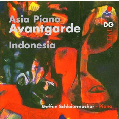 Afbeelding van Steffen Schleiermacher Asiatische Klavier Avantgarde (CD)