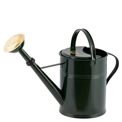 Afbeelding van PLINT Retro Gieter 5 Liter Green
