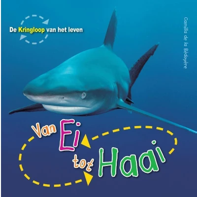 Afbeelding van De Kringloop Van het Leven ei tot haai