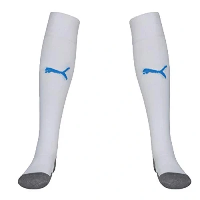 Afbeelding van PUMA Team Liga Socks Core voetbalsokken voor heren