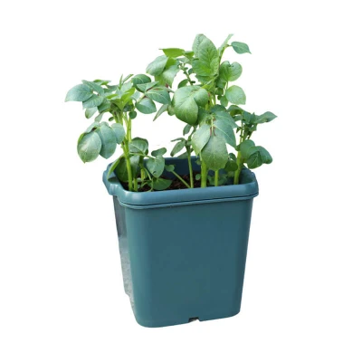 Afbeelding van Agralan Aardappel kweekbak Buiten en binnenpot 15 liter