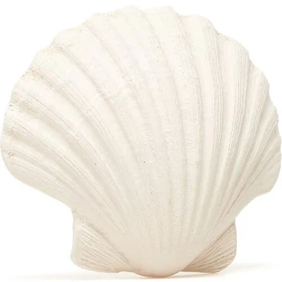 Afbeelding van Lanco toys bijtspeeltje schelp