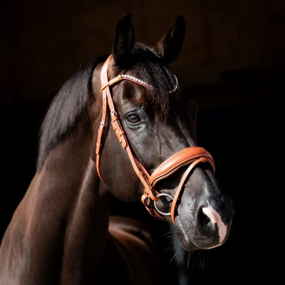 Image de HB Showtime Bridle Chestnut