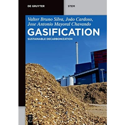 Afbeelding van De Gruyter STEM Gasification