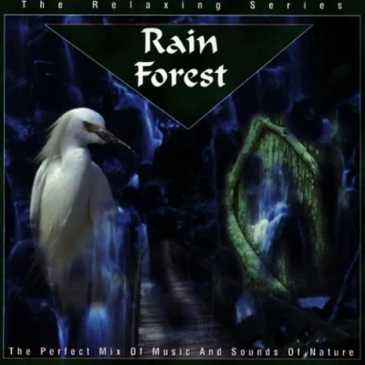 Afbeelding van Rain Forest