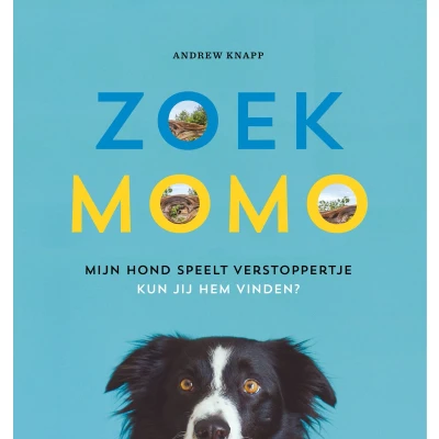 Afbeelding van Uitgeverij condor zoekboek zoek momo