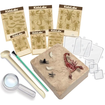 Afbeelding van 4M KidzLabs Opgraafkit Insecten &#039;Creepy Crawly&#039;