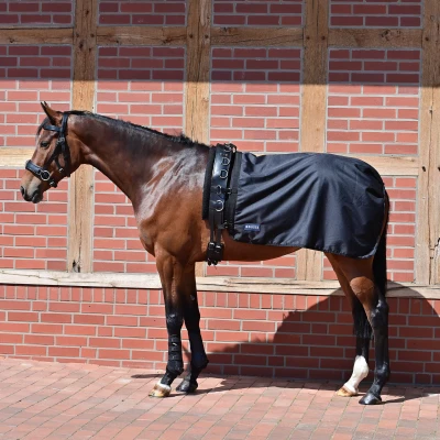 Image de Busse Lunging Rug Rain 50