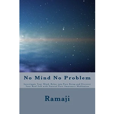 Afbeelding van No Mind Problem