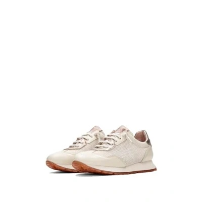 Afbeelding van Hispanitas Sneakers laag, Dames, Maat: 36, Latte Leer/ synthetisch