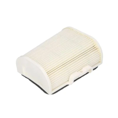 Afbeelding van Luchtfilter HIFLO HFA4702