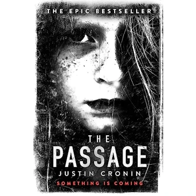 Afbeelding van The Passage