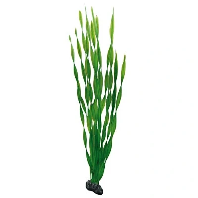 Afbeelding van Hobby Plant Vallisneria 60 Cm