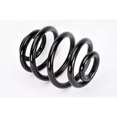 Afbeelding van Magnum Technology SW076MT Chassisveer Achteras Schroefveer