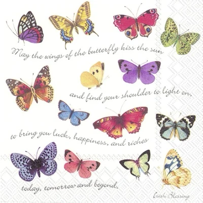 Afbeelding van Ihr 8121 Lunchservietten 33x33cm 20 Stuks Irish Blessing