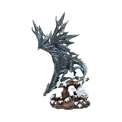 Afbeelding van Nemesis Now Groot Beeld/figuur Dragons Wisdom Draak Multicolours