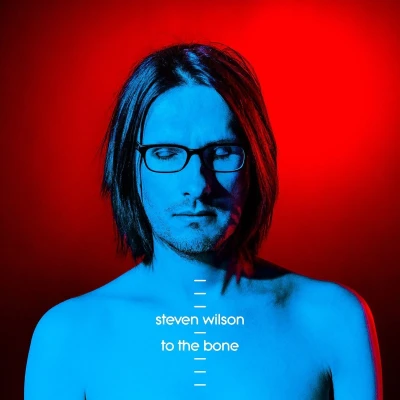 Afbeelding van Steven Wilson To the Bone (2 LPs)