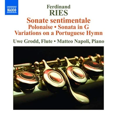 Afbeelding van Uwe Grodd &amp; Matteo Napoli Ries: Sonate Sentimentale (CD)