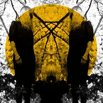 Afbeelding van Austra Feel It Break (2 LPs)