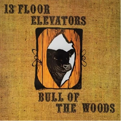 Afbeelding van 13th Floor Elevators Bull Of The Woods (LP) (Half Speed)