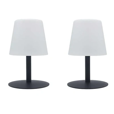 Afbeelding van Set van 2 Draadloze LED Tafellampen H25CM STANDY MINI ROCK