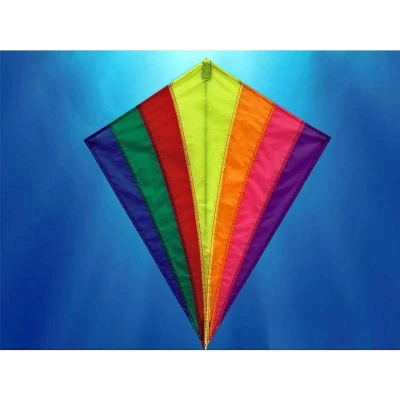 Afbeelding van Vlieger Regenboog