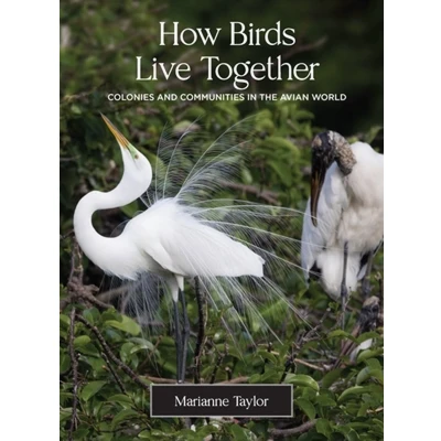 Afbeelding van How Birds Live Together