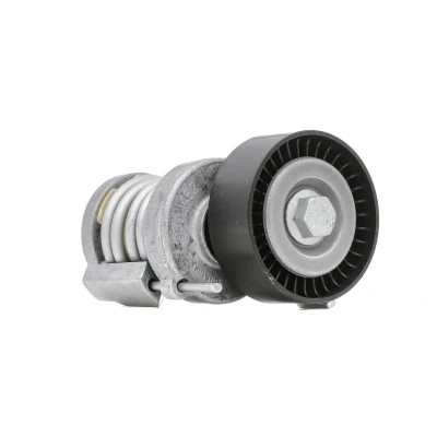 Afbeelding van Ina Spanner poly V riem 534 0123 20