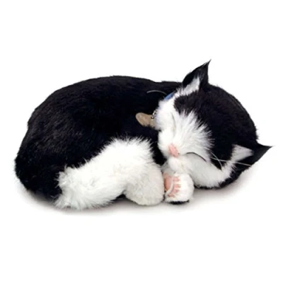 Afbeelding van Perfect Petzzz 65432 interactief pluche dier kat korte broek zwart/wit dat echt ademt 25 cm