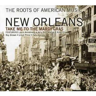 Afbeelding van Roots Of American Music New Orleans