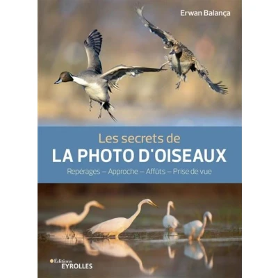 Image de Les secrets de la photo d&#039;oiseaux