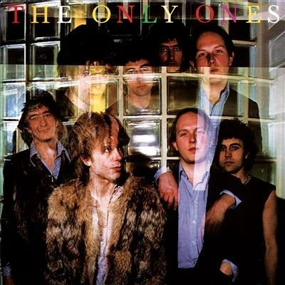 Afbeelding van Only Ones The (LP)