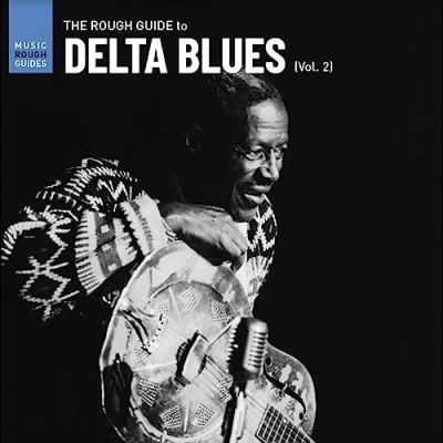 Afbeelding van V/A Delta Blues Vol. 2. the Rough Guide (LP)