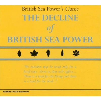 Afbeelding van Decline Of British Sea Power