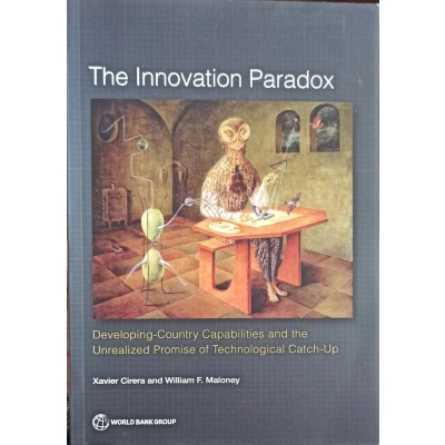 Afbeelding van The innovation paradox
