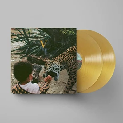 Afbeelding van Unknown Mortal Orchestra V (2 LPs)