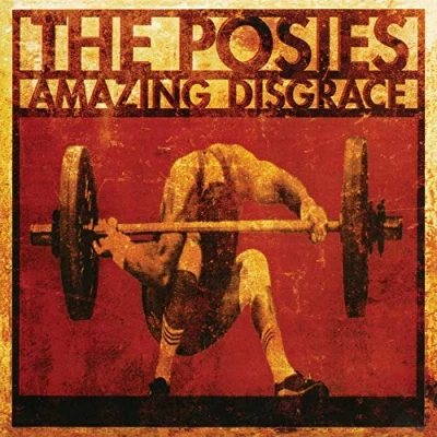 Afbeelding van Amazing Disgrace (LP)