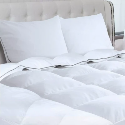 Image de Couette 220x240 CM AELA en plume d&#039;oie anti acarien 500 gr + 2 oreillers
