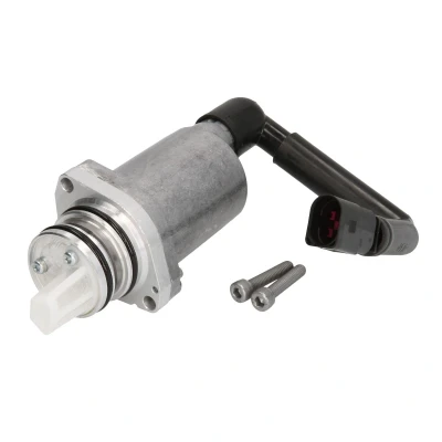 Afbeelding van BorgWarner DS118574 Pomp, lamellenkoppeling 4 wielaandrijving VOLKSWAGEN: Bora Variant