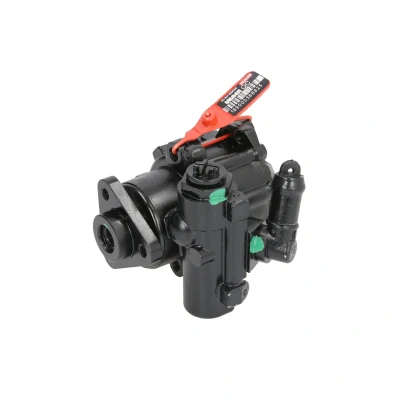 Afbeelding van Lauber Servopomp 55.5235