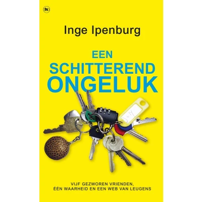 Afbeelding van Een schitterend ongeluk