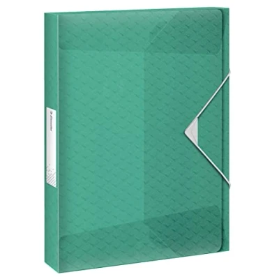 Afbeelding van Esselte Colour&#039;Breeze A4 Documentenbox voor 200 Vellen Dosiermap met een Rugbreedte van 25mm Groen