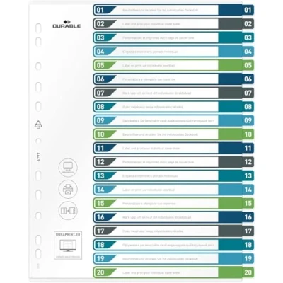Image de DURABLE Intercalaires imprimables translucides A4+ 20 onglets multicolore 1 pièce 679727