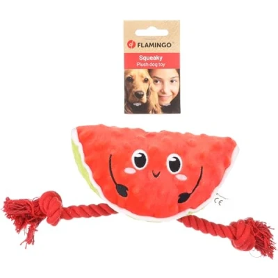 Afbeelding van HS BUBTO WATERMELOEN MET TOUW ROOD 17x10x20CM